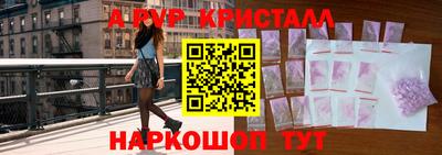 гашик Новозыбков