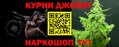 гашик Новозыбков