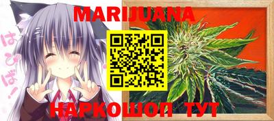гашик Новозыбков