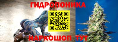 гашик Новозыбков