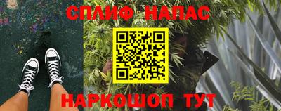 трава Новокубанск