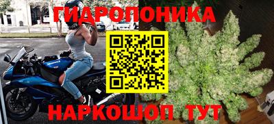 мдма Новодвинск