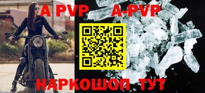 гашик Новозыбков