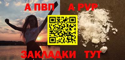 гашик Новозыбков
