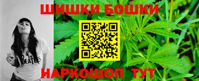 гашик Новозыбков
